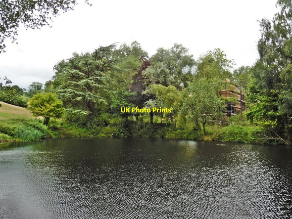 Photo 6"x4" Ornamental Lake, Chevithorne Chevithorne c2017