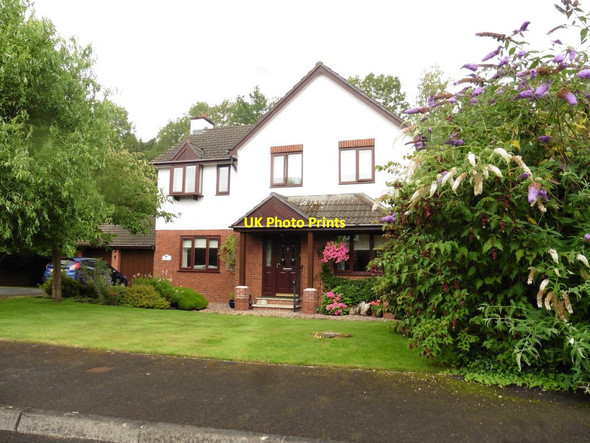 Photo 6"x4" House on 'The Otters' Bolham\/SS9514 c2017