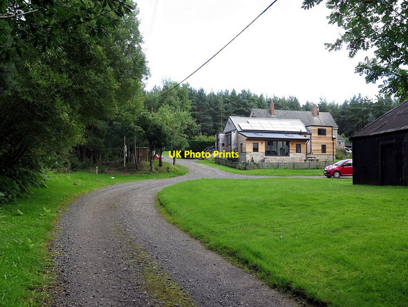 Photo 6"x4" Lightwater Cottages, Dipton Wood Lee\/NY9459 c2017