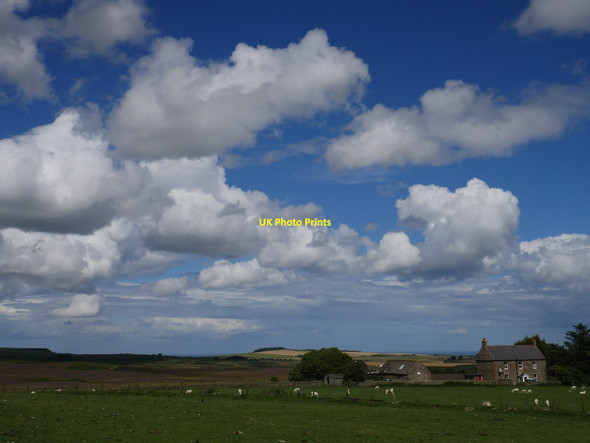 Photo 6"x4" Chatton Sandyfords In The Sunshine Warenford c2017