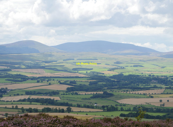 Photo 6"x4" A View To The Cheviots Chillingham c2017