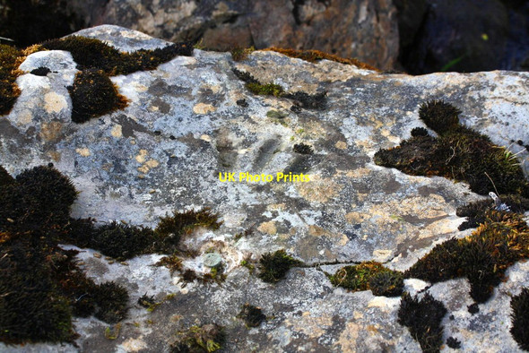 Photo 6"x4" Benchmark on rock in Smithy Gill Grisdale c2017