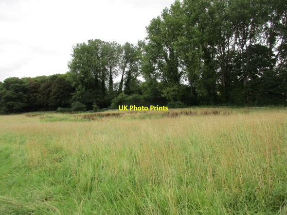 Photo 6"x4" Source of the River Itchen Cheriton\/SU5828 c2017