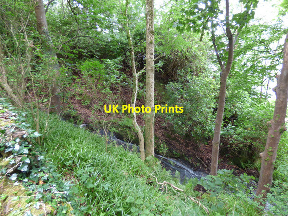 Photo 6"x4" The Halket Burn Skelmorlie c2017
