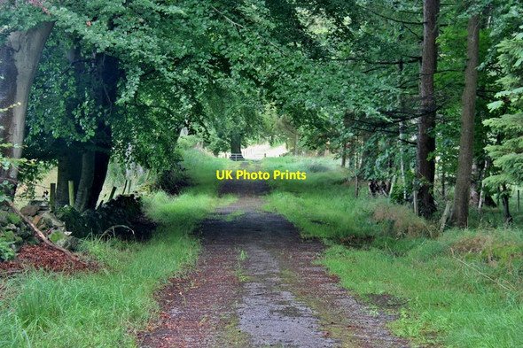 Photo 6"x4" East drive to Elrick House Newmachar c2017