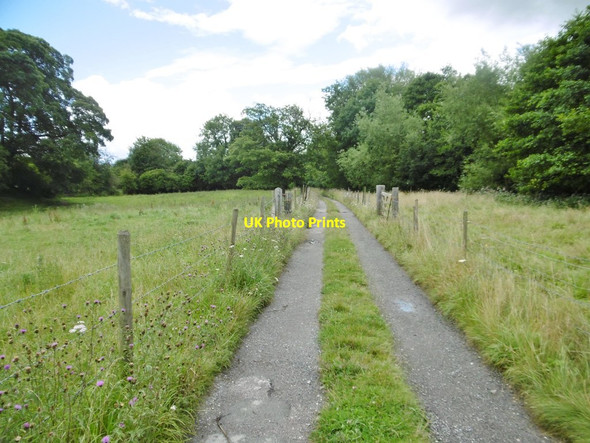 Photo 6"x4" Bersham, farm road Wrexham\/Wrecsam c2017