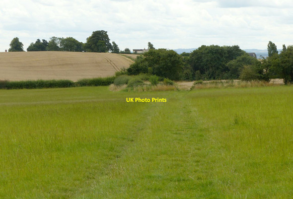 Photo 6"x4" Farm track near Peatmeadow Farm Risley\/SK4635 c2017