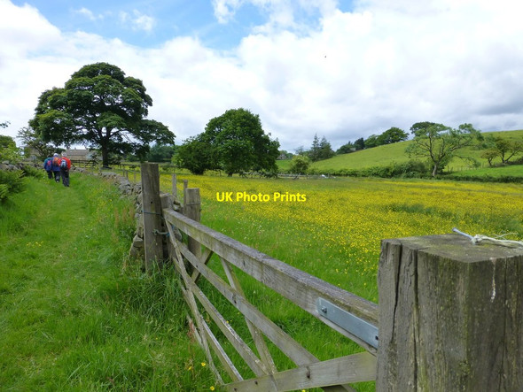 Photo 6"x4" High Field Farm at Timble Timble c2017