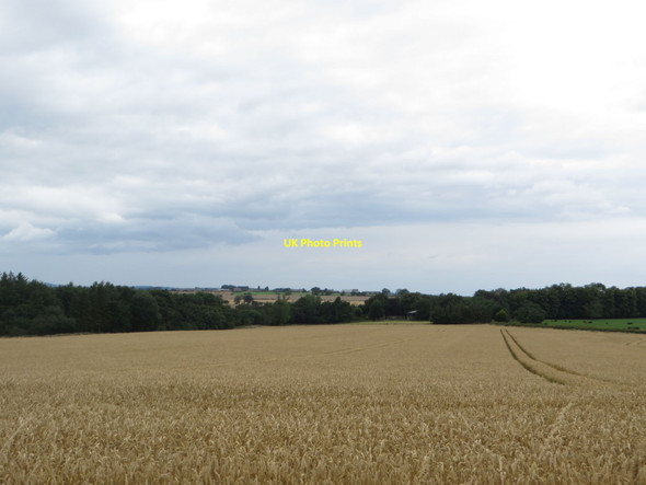 Photo 6"x4" Arable field north of Cockle Park Tritlington c2017