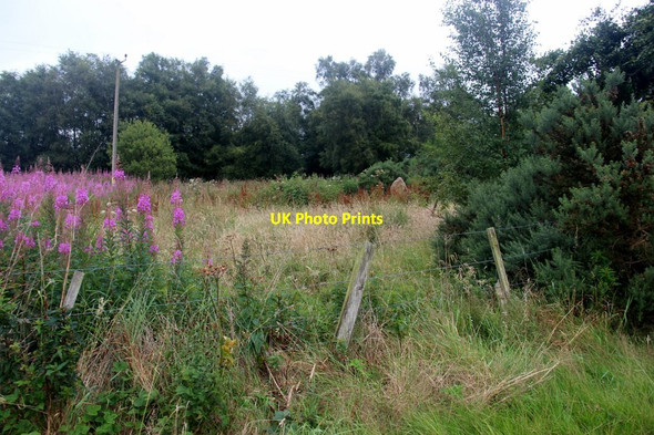 Photo 6"x4" Scrubland by the railway at Dalwearie Kintore c2017