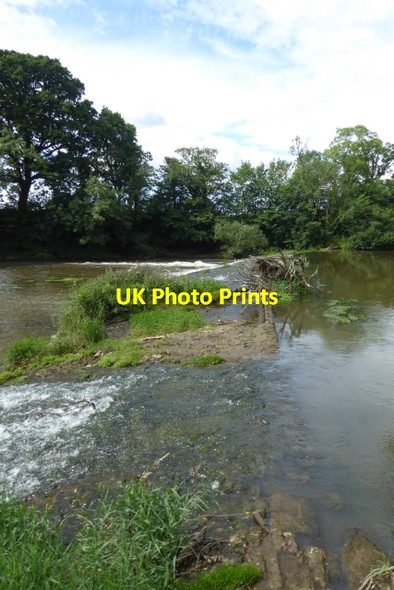 Photo 6"x4" Howsham Weir Howsham\/SE7362 c2017