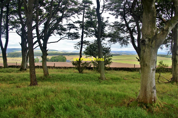 Photo 6"x4" View over rural Aberdeenshire through shelterbelt Sittyton c2017
