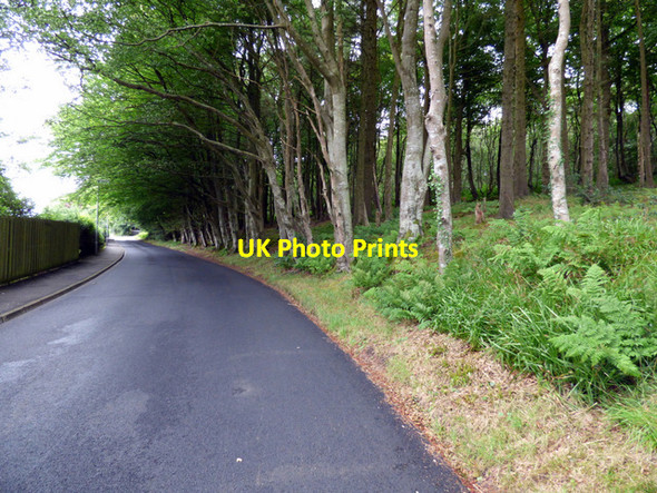 Photo 6"x4" Annetyard Road Skelmorlie c2017
