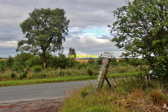 Photo 6"x4" Roadside tree belt near Kinmuck Kinmuck c2017