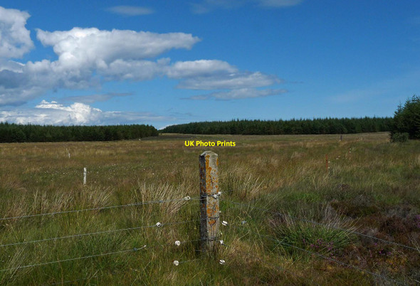 Photo 6"x4" Junction of fences, Scoolary, Caithness Upper Gills c2017