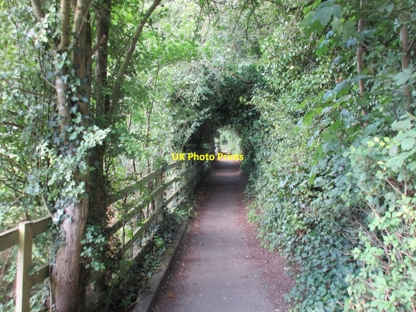 Photo 6"x4" Footpath to the church, Wellesbourne Wellesbourne c2017