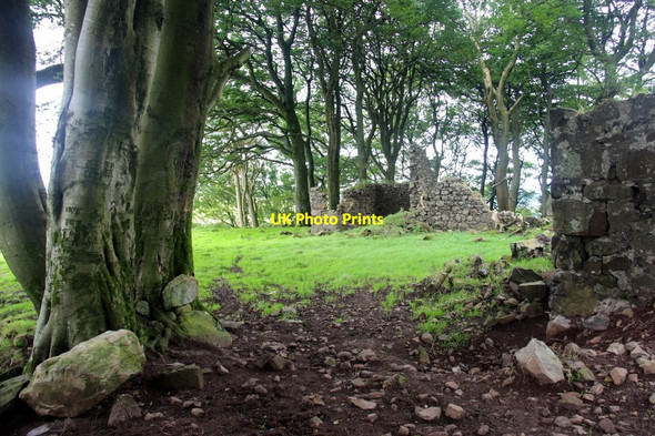 Photo 6"x4" Ruins in the woods below Loudoun Hill Drumclog c2017