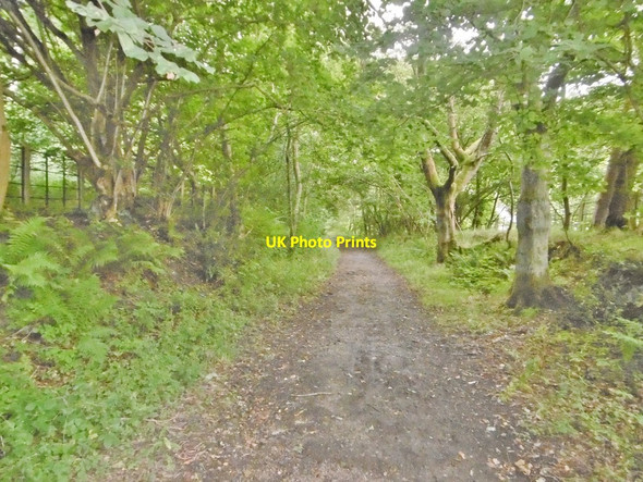 Photo 6"x4" Pandy, trackbed Pandy\/SJ1935 c2017
