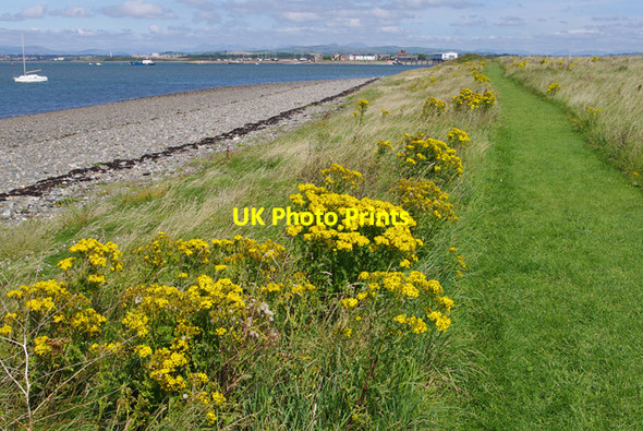 Photo 6"x4" Piel Island Roa Island c2017