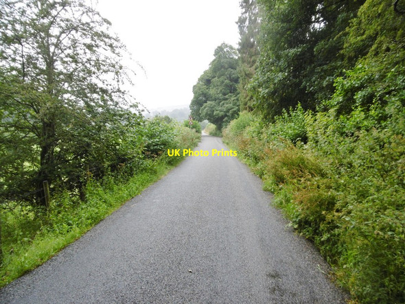 Photo 6"x4" Llwynmawr, B4579 Bedwlwyn\/SJ2236 c2017