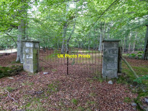 Photo 6"x4" Findrassie Wood Elgin c2017