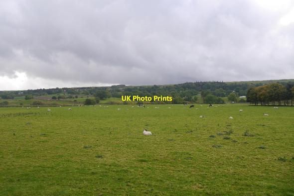 Photo 6"x4" Ure flood plain Woodhall\/SD9790 c2016