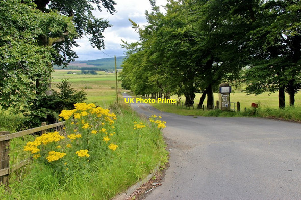 Photo 6"x4" Access road to Avonside Drumclog c2017