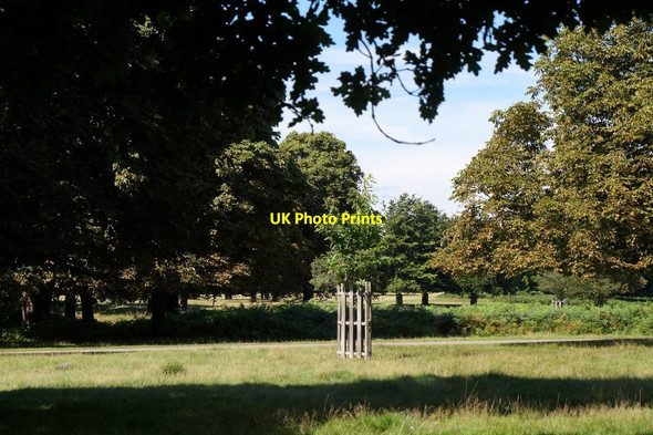 Photo 6"x4" Richmond Park from the Ladderstile Gate Kingston Upon Thames c2017