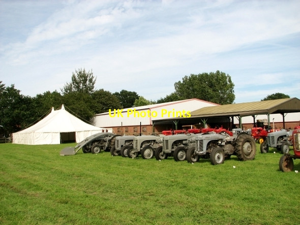 Photo 6"x4" Ferguson TE 20 tractors on display Little London\/TG1823 c2017