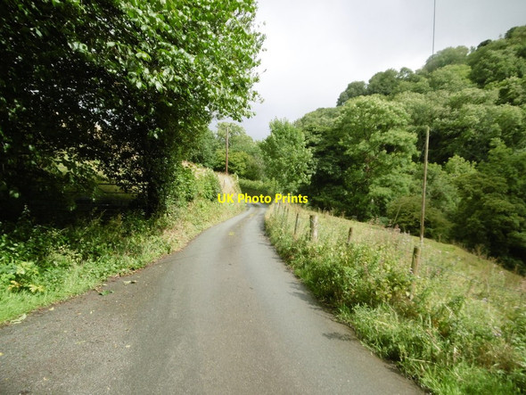 Photo 6"x4" Cefn Coch, minor road Llanarmon Mynydd-mawr c2017