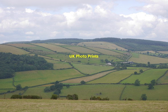 Photo 6"x4" View towards Black Hill Pentre Hodre c2017