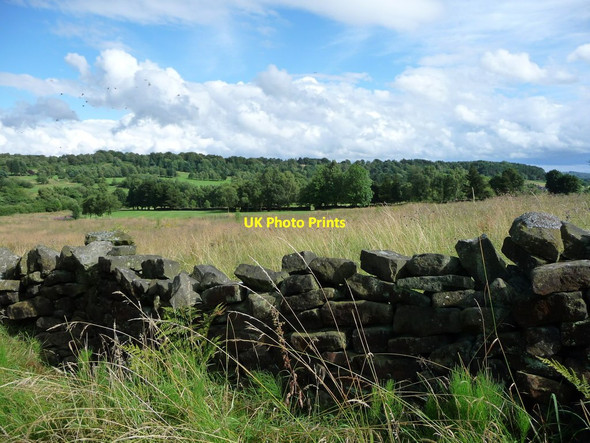 Photo 6"x4" Central section of Cuckoostone Dale Slack\/SK3362 c2017