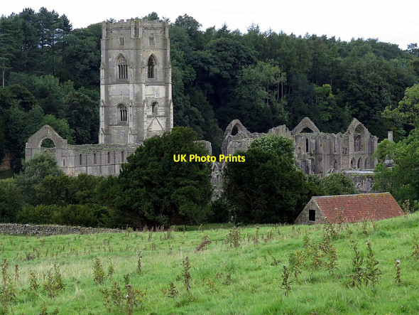 Photo 6"x4" Fountains Abbey Aldfield c2017