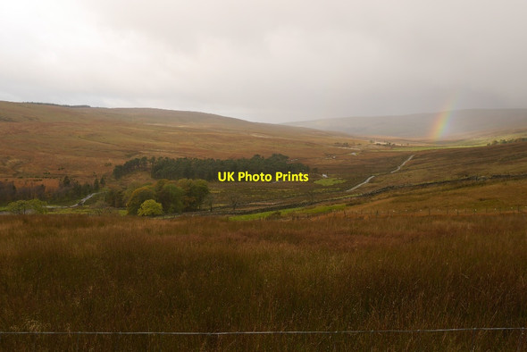Photo 6"x4" Rough grazing above Nethergill Oughtershaw c2016