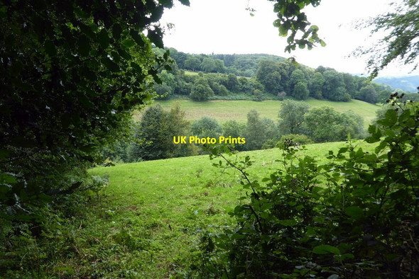 Photo 6"x4" A valley above the Wye Valley Brockweir c2017