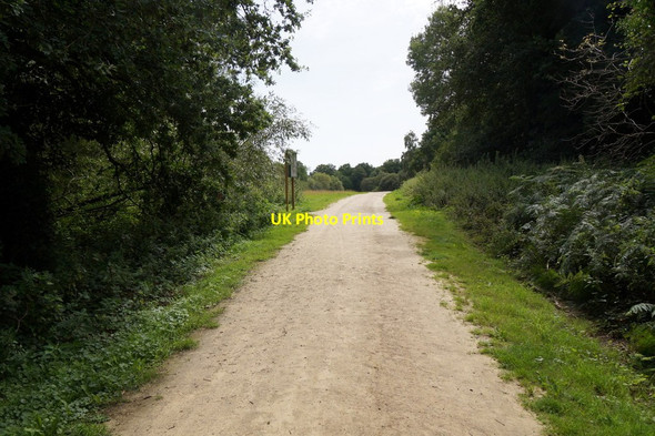 Photo 6"x4" Track from the car park, Epsom Common Epsom c2017