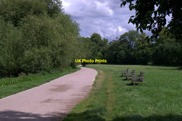 Photo 6"x4" The Thames Path at Ham House Richmond\/TQ1874 c2017
