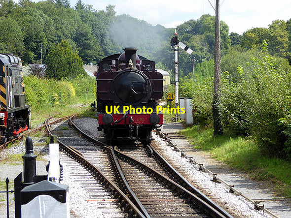 Photo 6"x4" Train approaching Staverton Bridge Shinner's Bridge c2017