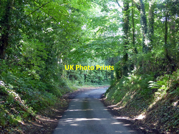 Photo 6"x4" Mile Lane near Frog's Hole Goudhurst c2017