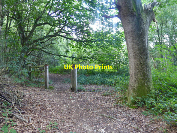 Photo 6"x4" Old path gate, Gravel Pit Wood Cranbrook\/TQ7736 c2017