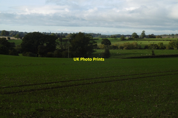 Photo 6"x4" Winter cereals, Sapey Common Upper Sapey c2016