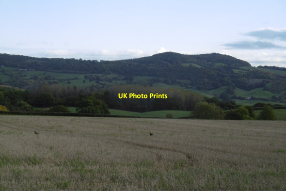 Photo 6"x4" Stubble, Clifton upon Teme Clifton Upton Teme c2016