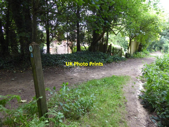 Photo 6"x4" London Countryway in Surrey (27) Hurst Green\/TQ3951 c2017