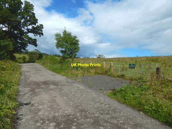 Photo 6"x4" Track to Ardencaple Farm Helensburgh c2017