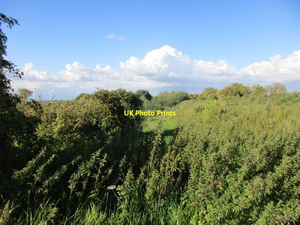 Photo 6"x4" Swinefleet Warping Drain Swinefleet Warping Drain c2017