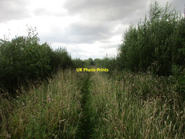 Photo 6"x4" Track across Goole Moors Crowle Hill c2017