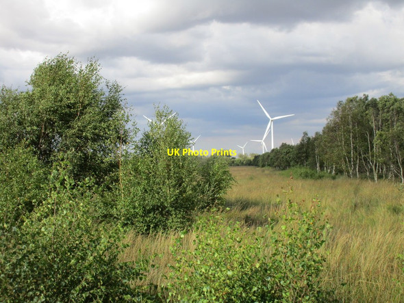 Photo 6"x4" Goole Moors and Goole Fields wind farm Goole Moors c2017