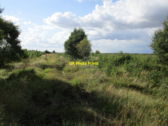 Photo 6"x4" Track across Goole Moors Goole Moors c2017