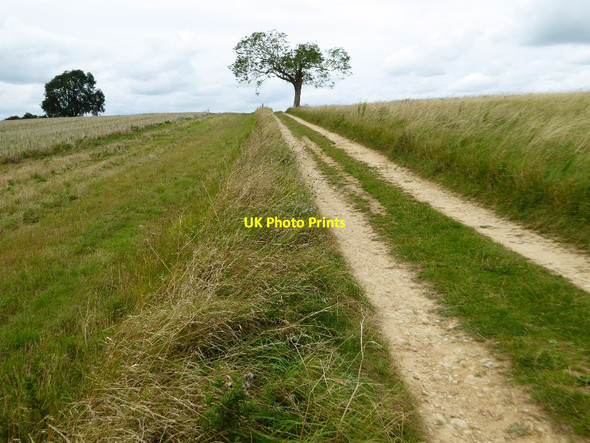 Photo 6"x4" Track to the top of Bredon Hill Bredon's Norton c2017