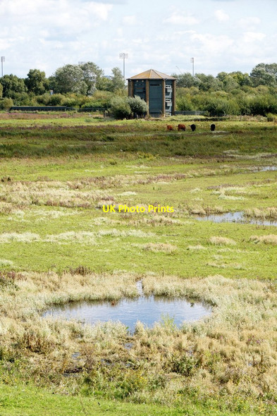 Photo 6"x4" The grazing marsh at the London Wetland Centre, Barnes Barnes c2017